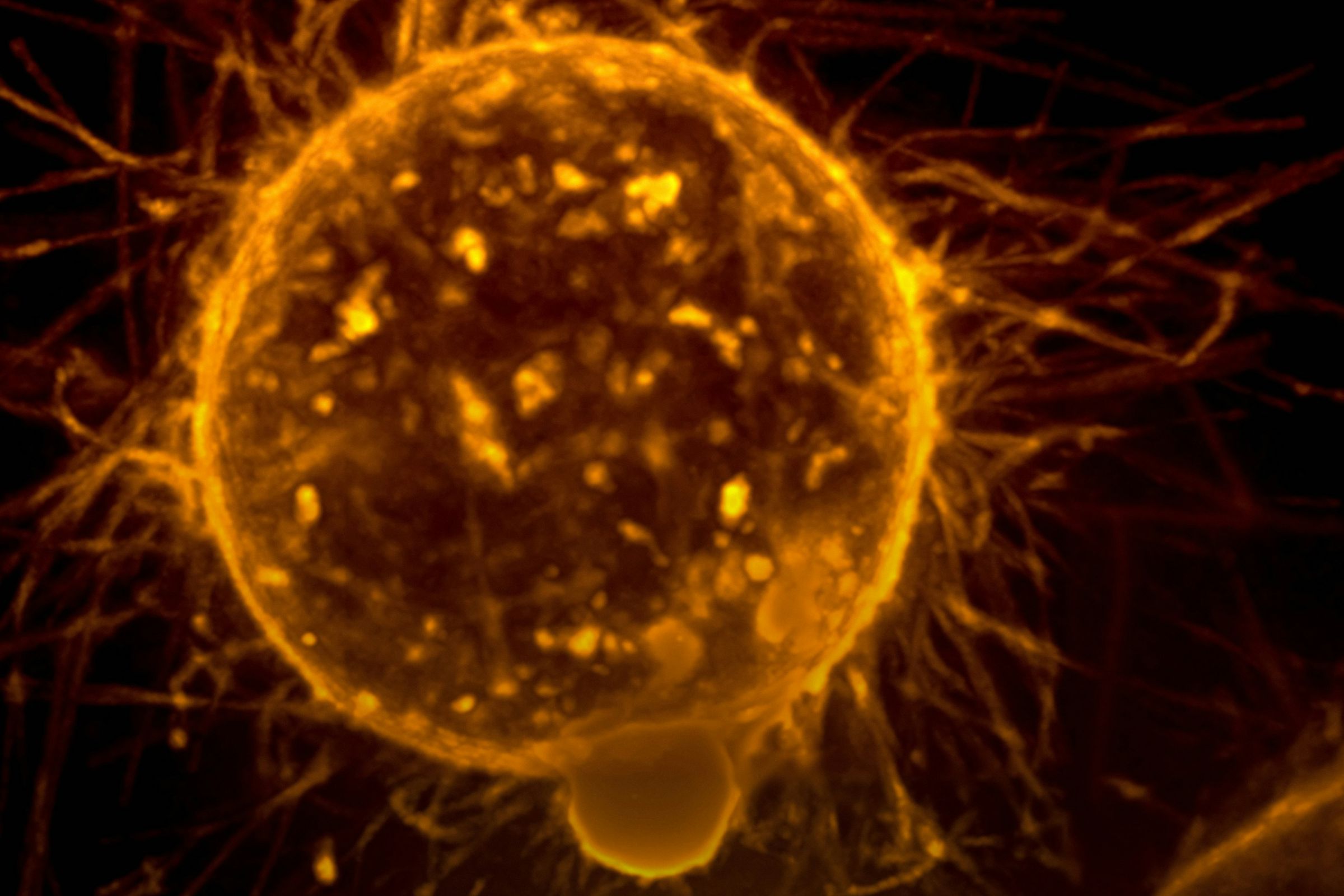 MHRA approves lung cancer drug